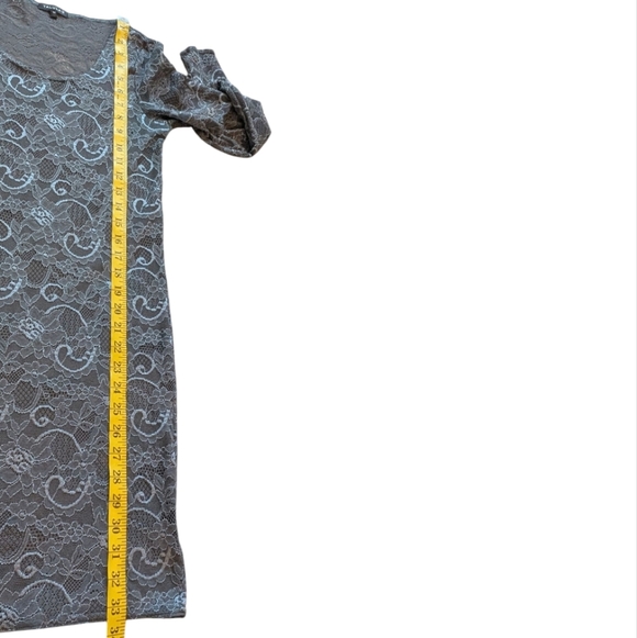 Aritzia Talula Clarendon Dress Lace Sheer Whimsigoth Y2K Women's M Fairy Grey - Picture 14 of 14